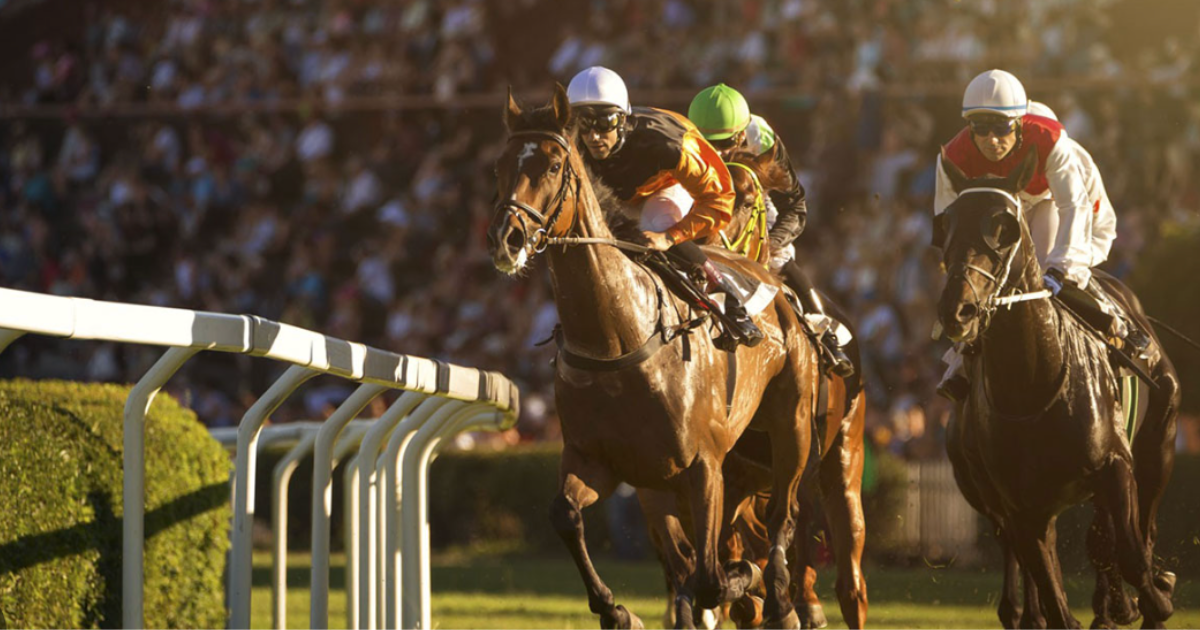 ドバイの競馬はギャンブル？ドバイターフとラクダレースから見るドバイの競技文化